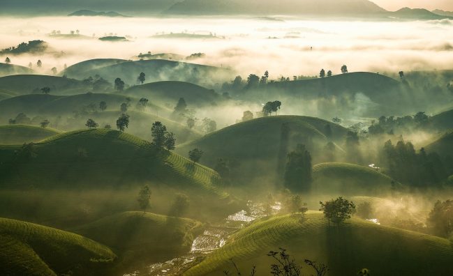 Sapa Trekking Tours – 2 Days 1 Night Stay At Homestay